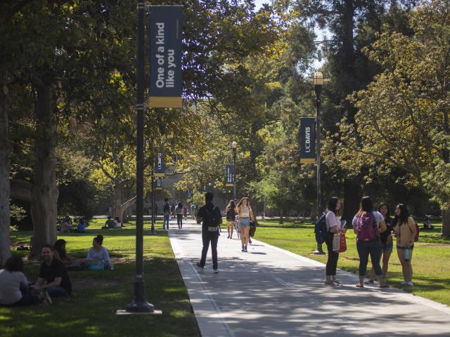 The cement pathway through the UC Davis quad is lined with trees and banners that say "One of a kind like you." Students gather in groups, pairs, or individually, with bikes, talking on phones, greeting each other
