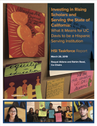 HSI Task Force Report cover