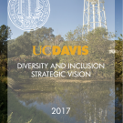 Cover of strategic vision report